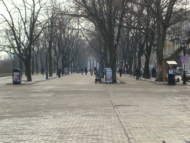 DSC00497.JPG