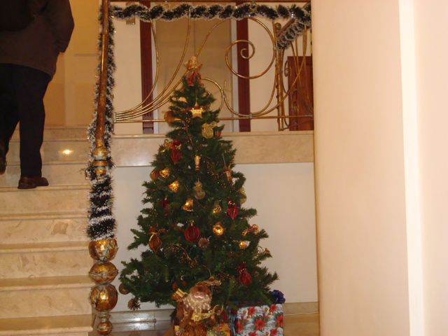 DSC00504.JPG
