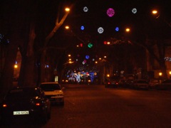 DSC00501.JPG
