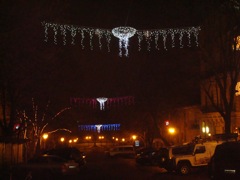 DSC00503.JPG