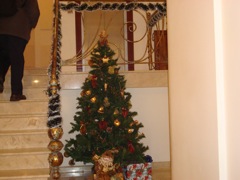 DSC00504.JPG