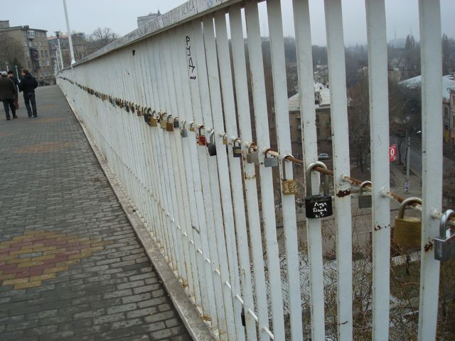 DSC00515.JPG