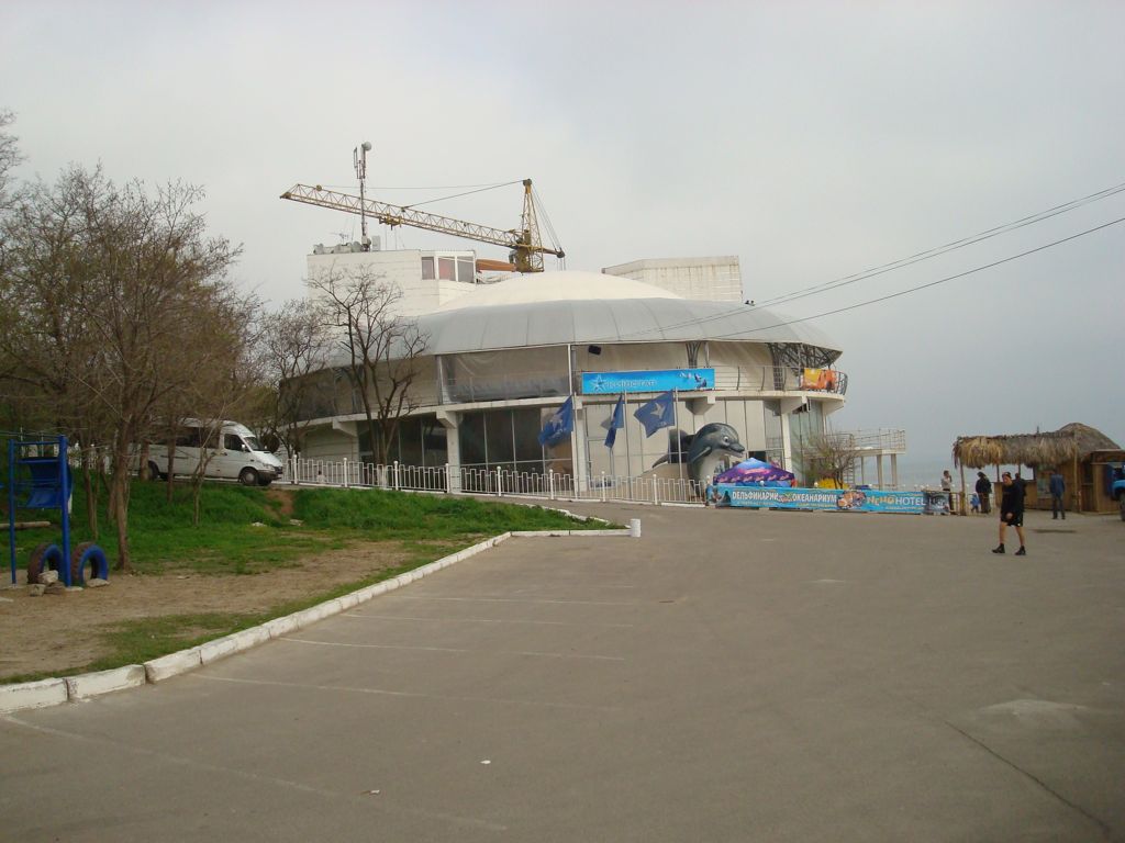 DSC00703.JPG