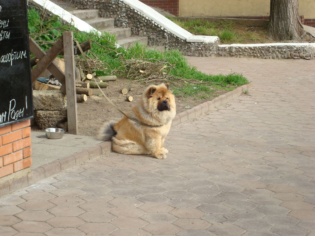 DSC00708.JPG