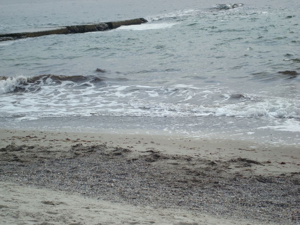 DSC00716.JPG