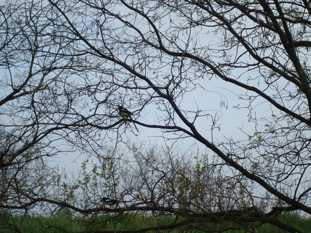 DSC00723.JPG