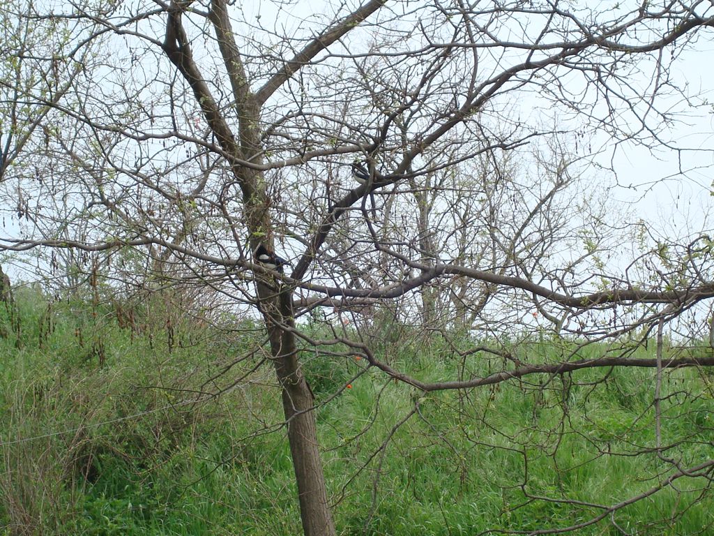 DSC00724.JPG