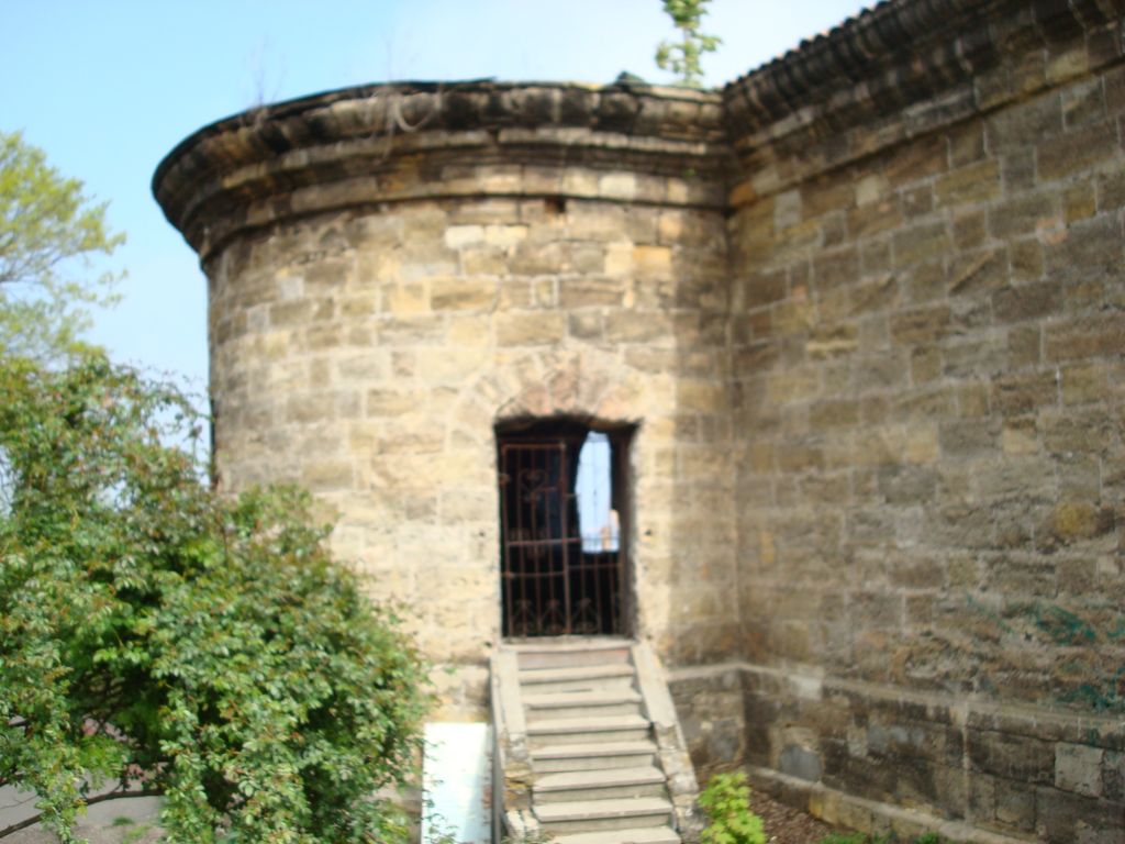 DSC00729.JPG