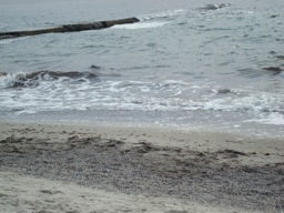 DSC00716.JPG