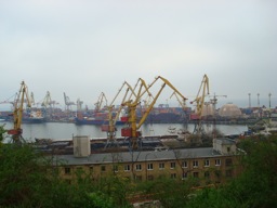DSC00695.JPG