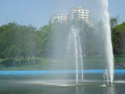 DSC00734.JPG