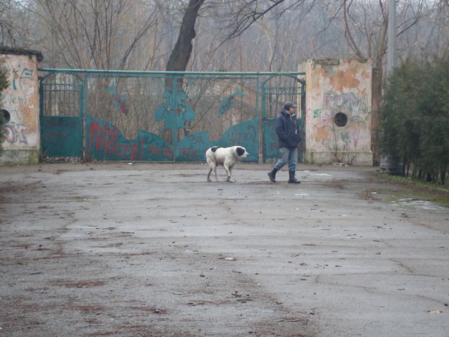 DSC00524.JPG