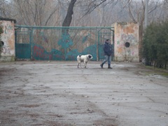 DSC00524.JPG