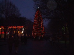 DSC00532.JPG