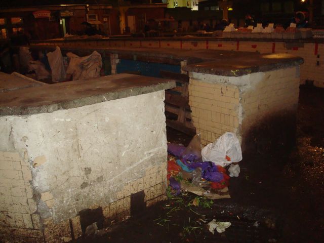 DSC00534.JPG