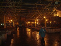 DSC00533.JPG