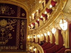 DSC00554.JPG