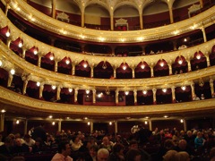 DSC00564.JPG