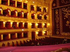 DSC00550.JPG