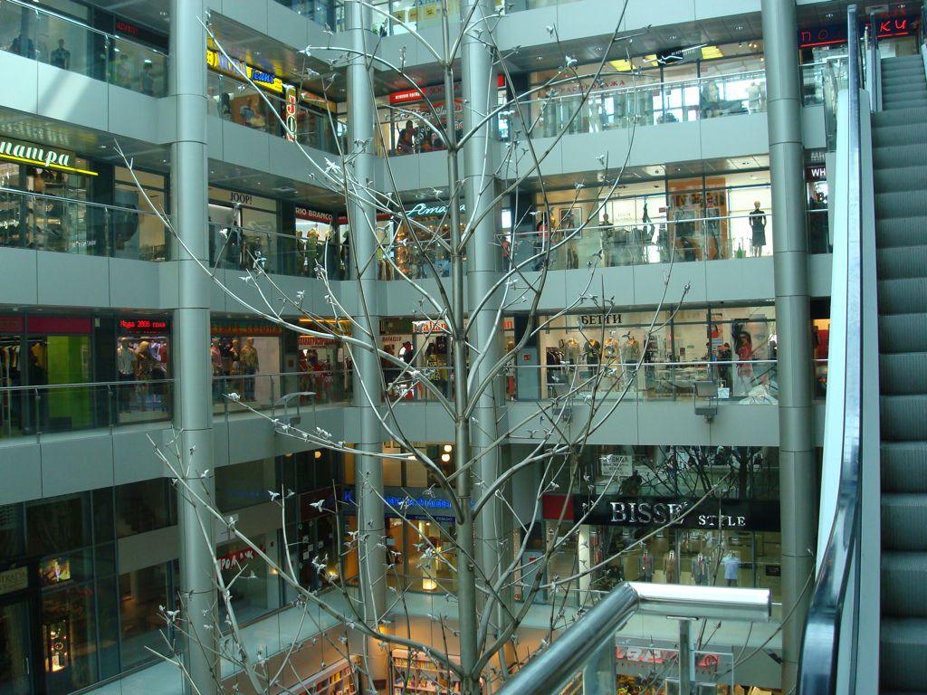 DSC00638.JPG