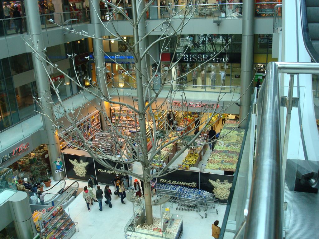 DSC00639.JPG