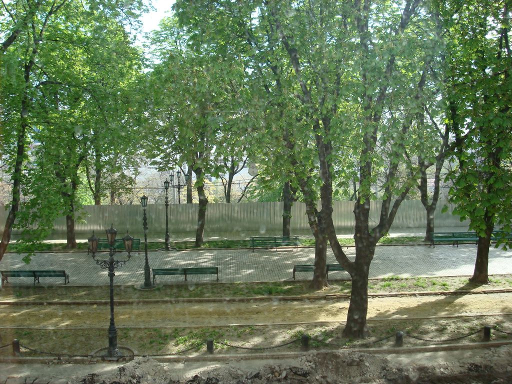 DSC00630.JPG