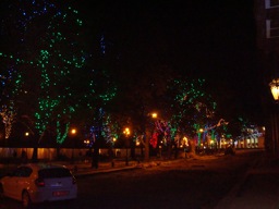 DSC00649.JPG