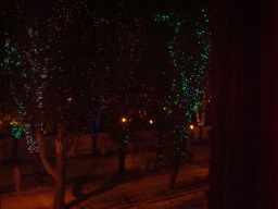 DSC00654.JPG