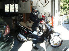 Polly's First Ride to Work.JPG